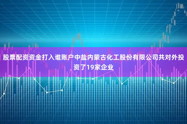 股票配资资金打入谁账户中盐内蒙古化工股份有限公司共对外投资了19家企业