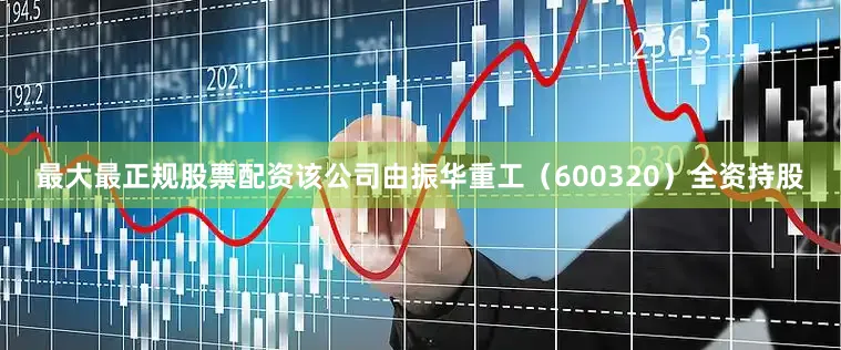 最大最正规股票配资该公司由振华重工（600320）全资持股