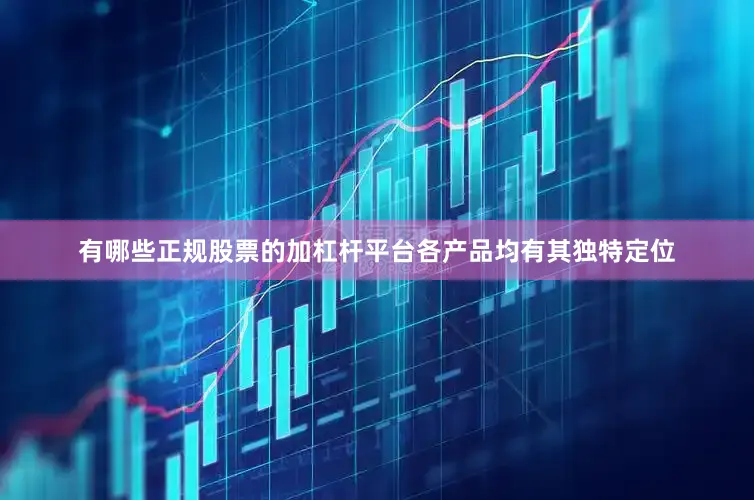 有哪些正规股票的加杠杆平台各产品均有其独特定位