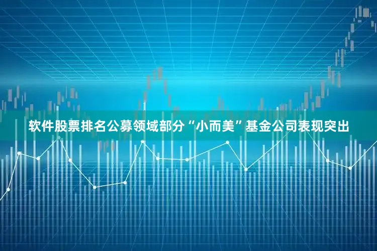 软件股票排名公募领域部分“小而美”基金公司表现突出